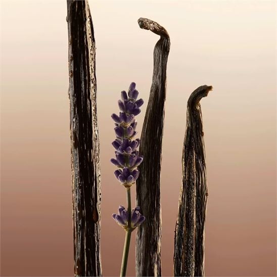 Burberry Goddess Refill 150 ml Kadın Parfüm - 5