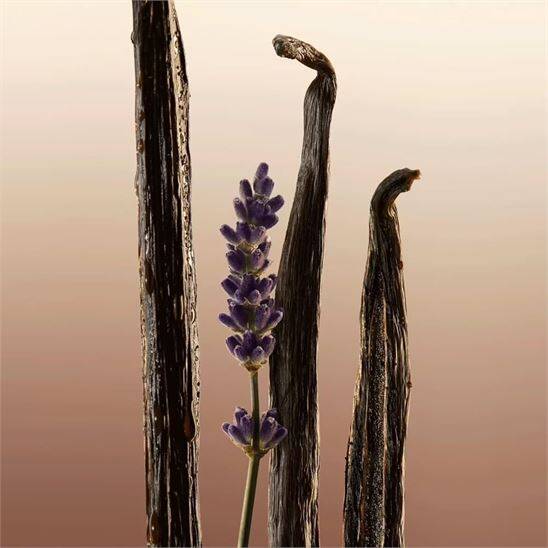 Burberry Goddess Refill 150 ml Kadın Parfüm - 5