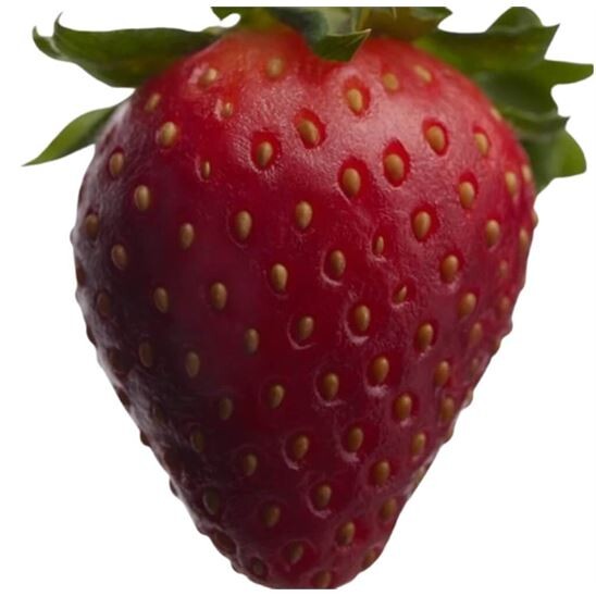 Burberry Her Eau de Parfum Intense 50 ml Kadın Parfüm - 6