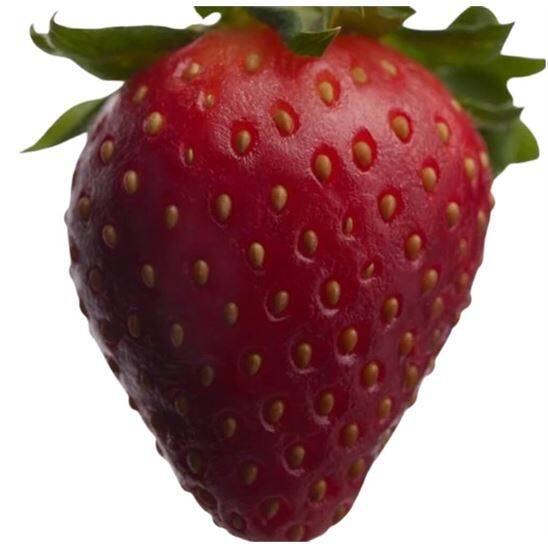 Burberry Her Eau de Parfum Intense 50 ml Kadın Parfüm - 6