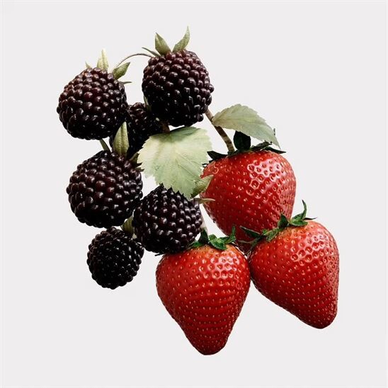 Burberry Her Elixir EDP 50 ml Kadın Parfüm - 5