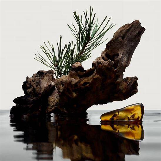 Burberry Hero EDP 50 ml Erkek Parfüm - 5