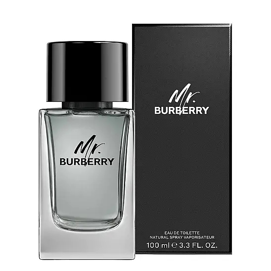Burberry Mr Burberry EDT 100 ml Erkek Parfüm - 2