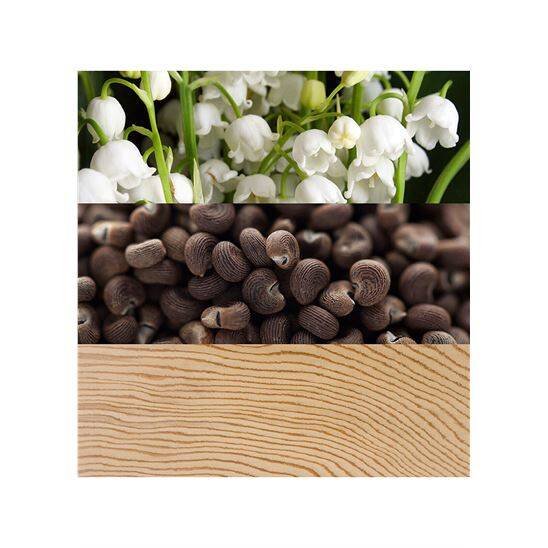 Calvin Klein Beauty EDP 100 ml Kadın Parfüm - 4