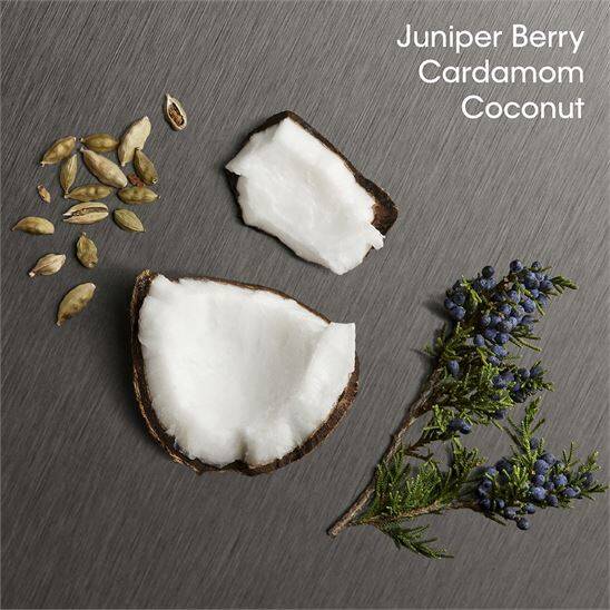 Calvin Klein Eternity Aromatic Essence Parfum Intense 50 ml Erkek Parfüm - 5