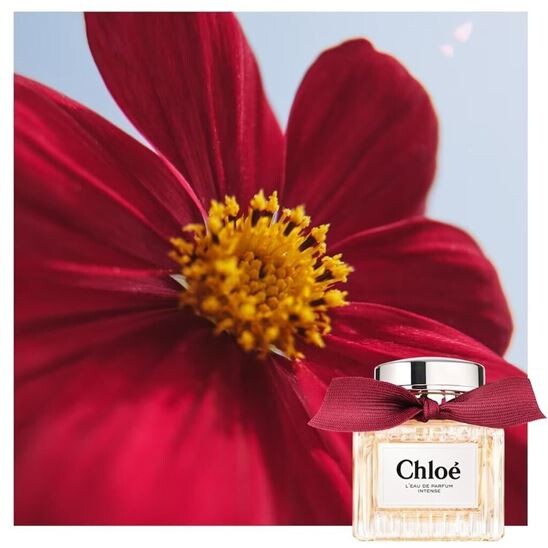 Chloé L'eau De Parfum Intense Refill EDP 150 ml Kadın Parfüm - 6