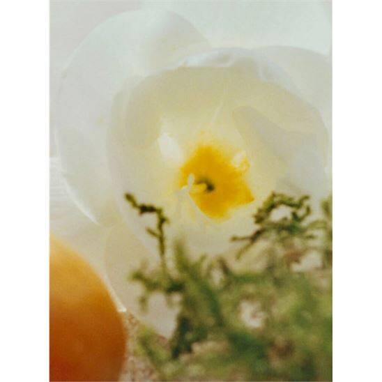 Chloe Nomade Jasmin Naturel Intense EDP 75 ml Kadın Parfüm - 3