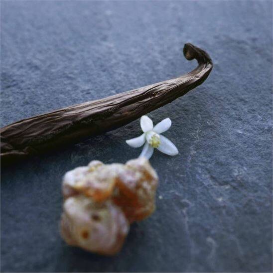 Chloé Nomade Nuit d'Egypte EDP 50 ml Kadın Parfüm - 6