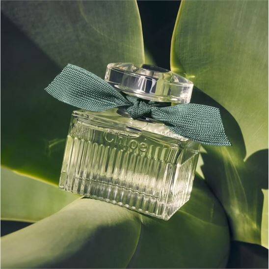 Chloe Signature Rose Naturelle Intense EDP 50 ml Kadın Parfüm - 5