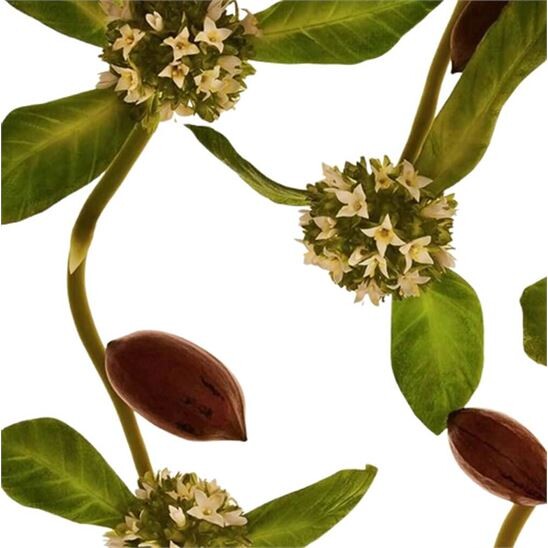 Clarins Extra Firming Jour COLLAGEN TECHNOLOGY 50 ml Tüm Cilt Kremi - 7