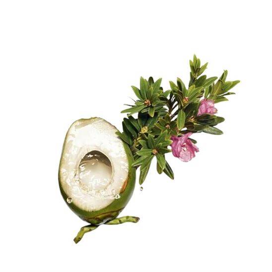 Clarins My Clarins Re-Boost Matlaştırıcı Nemlendirici  50 ml Yağlı Ciltler - 3