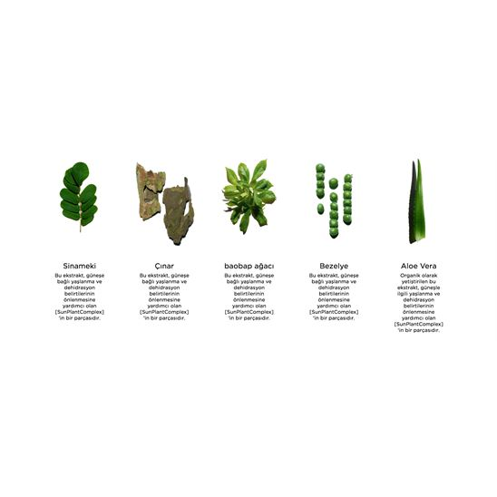 Clarins Sun Face Cream SPF 30 50 ml Nemlendirici Güneş Kremi - 4