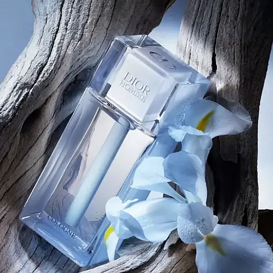 Dior Homme Cologne 125 ml Erkek Parfüm - 2