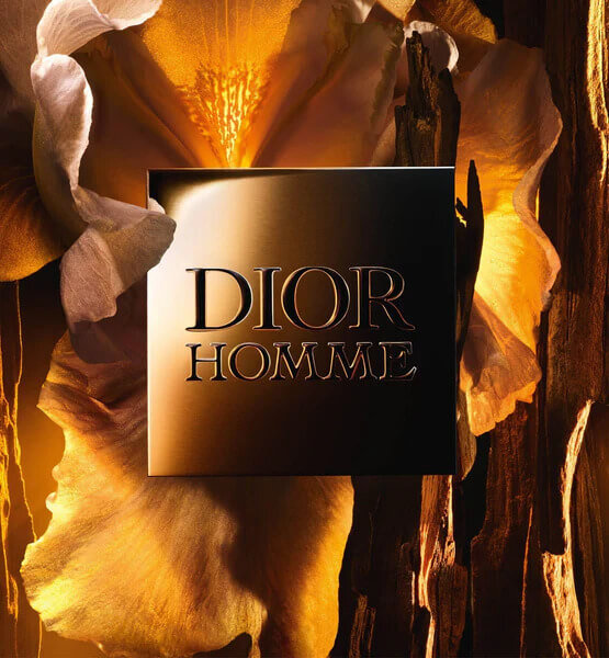 Dior Homme Parfum 100 ml Erkek Parfüm - 4