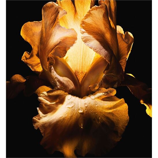 Dior Homme Parfum 75 ml Erkek Parfüm - 5