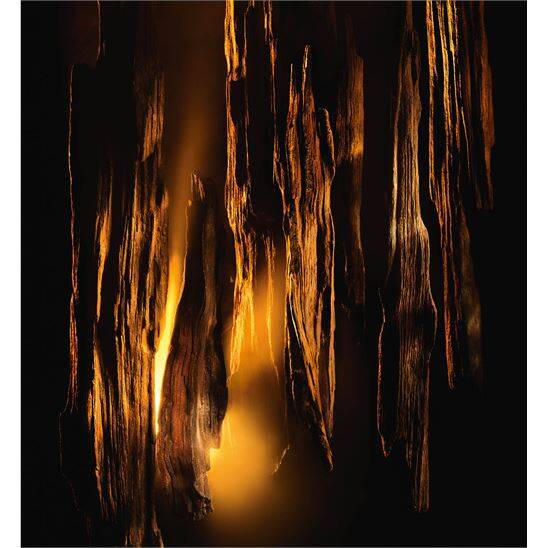 Dior Homme Parfum 75 ml Erkek Parfüm - 6