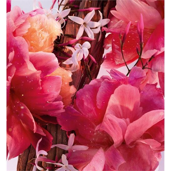 Dior Miss Dior Parfum 50 ml Kadın Parfüm - 3