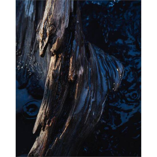 Dior Sauvage Eau Forte 60 ML Erkek Parfüm - 5