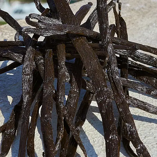 Dolce & Gabbana Devotion EDP 100 ml Kadın Parfüm - 4