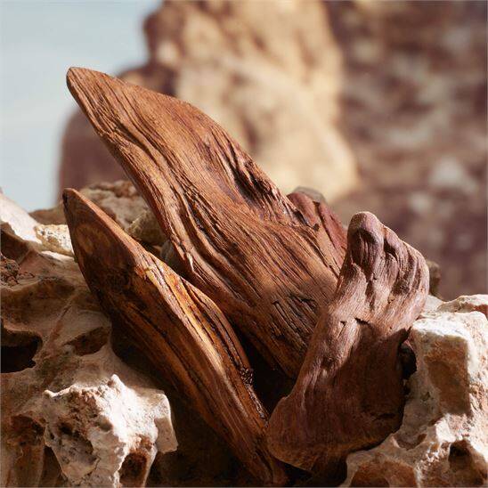 Dolce&Gabbana K by Dolce&Gabbana Parfum 100 ml Erkek Parfüm - 5