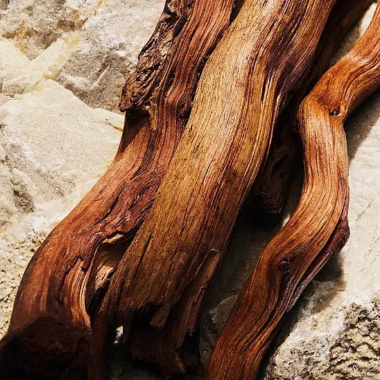 Dolce&Gabbana Light Blue EDP 50 ml Kadın Parfüm - 4