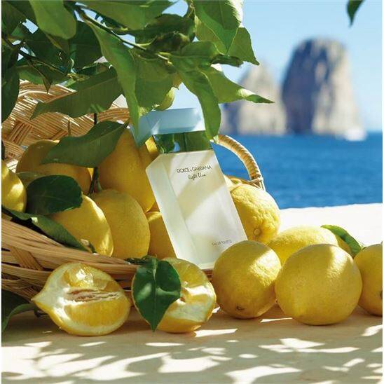 Dolce Gabbana Light Blue Femme EDT 100 ml Kadın Parfüm - 3