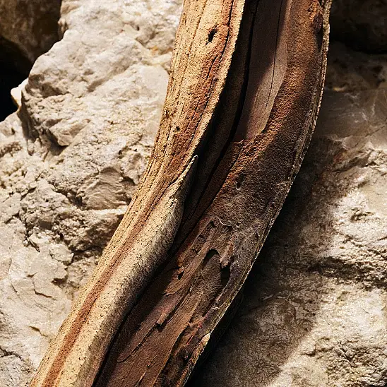 Dolce&Gabbana Light Blue Pour Homme EDP 50 ml Erkek Parfüm - 5