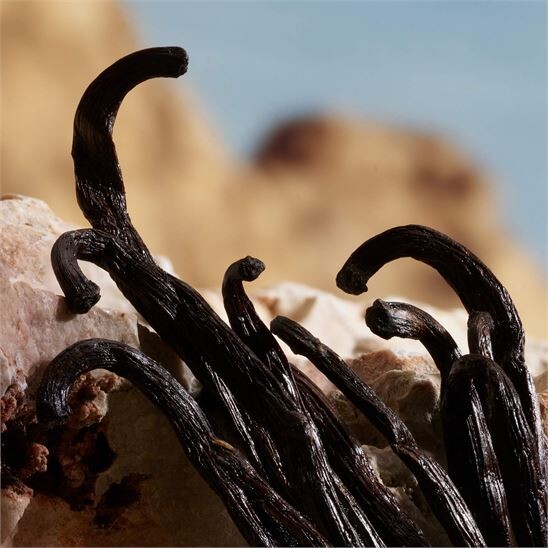 Dolce&Gabbana Q by Dolce&Gabbana Parfum 50 ml Kadın Parfüm - 7