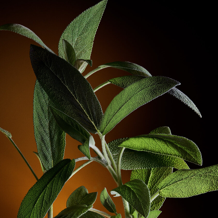 Dolce Gabbana The One EDP 100 ml Erkek Parfüm - 5