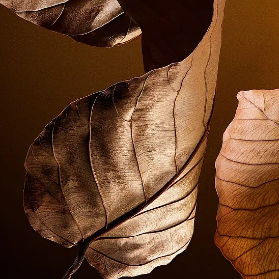 Dolce Gabbana The One EDP 100 ml Erkek Parfüm - 5