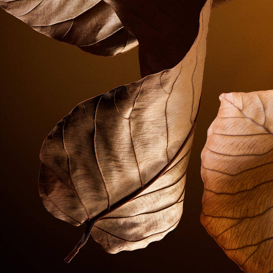 Dolce Gabbana The One EDP 50 ml Erkek Parfüm - 6