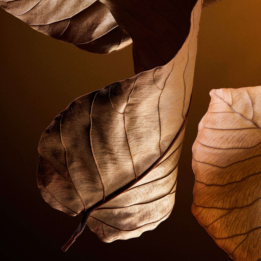 Dolce Gabbana The One For Men Parfum 100 ml Erkek Parfüm - 6