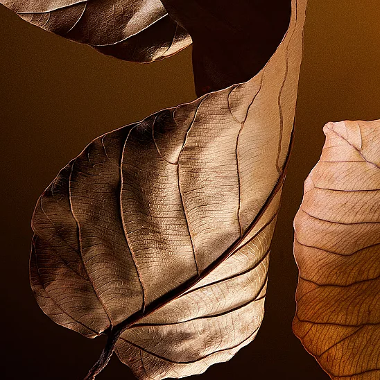 Dolce Gabbana The One For Men Parfum 50 ml Erkek Parfüm - 4