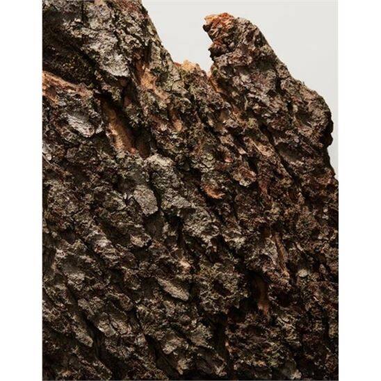 Dolce Gabbana The One Intense EDP 50 ml Erkek Parfüm - 7