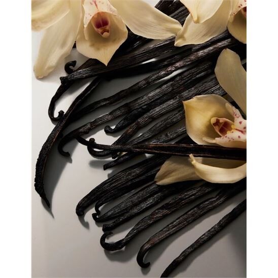 Dolce Gabbana The Only One Intense EDP 100 ml Kadın Parfüm - 6