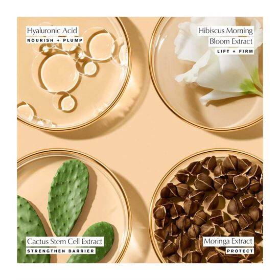 Estee Lauder Revitalizing Supreme+ Soft 50 ml Yaşlanma Karşıtı - 6