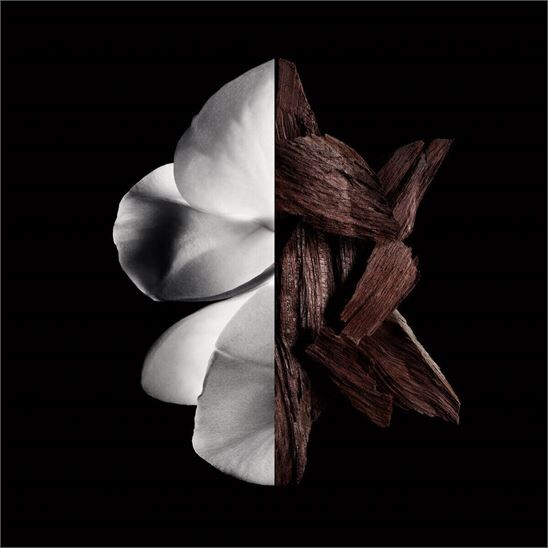 Givenchy Gentleman Boisee EDP 200 ml Erkek Parfüm - 3