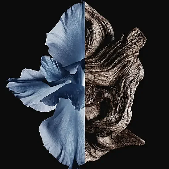 Givenchy Gentleman Intense EDT 60 ml Erkek Parfüm - 3