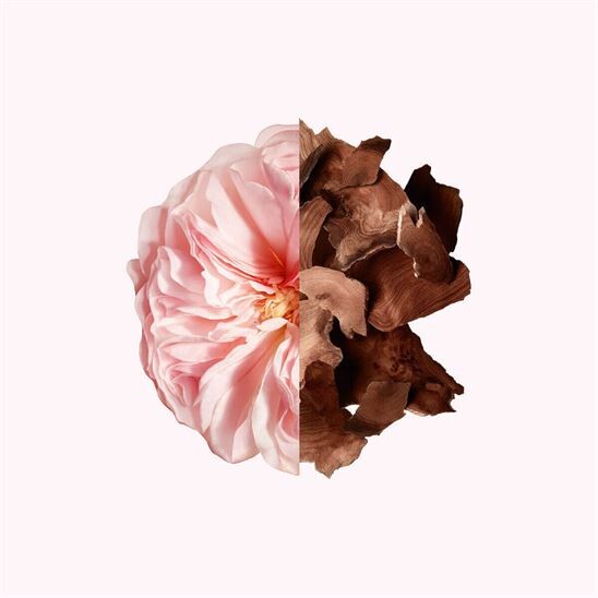 Givenchy Irresistible The Deodorant Spray 100 ml Kadın Deodorant - 3