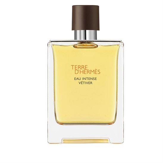 Hermes Terre D'Hermes Eau Intense Vetiver EDP 100 ml Erkek Parfüm - 1