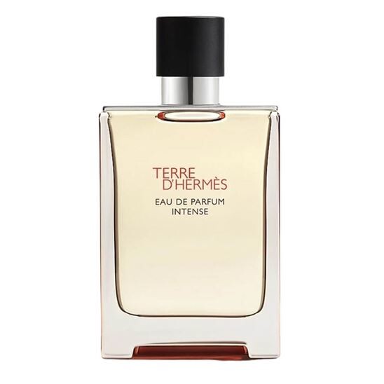 Hermes Terre D Hermes EDP Intense 100 ml Erkek Parfüm - 1