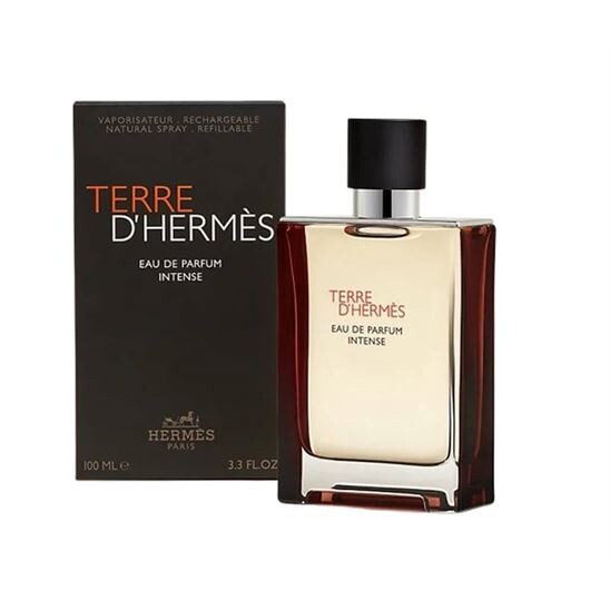 Hermes Terre D Hermes EDP Intense 100 ml Erkek Parfüm - 2
