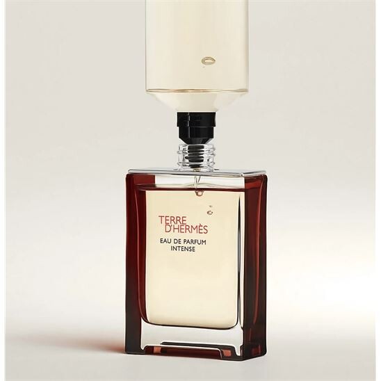 Hermes Terre D Hermes EDP Intense 100 ml Erkek Parfüm - 3