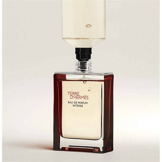 Hermes Terre D Hermes EDP Intense 100 ml Erkek Parfüm - 3