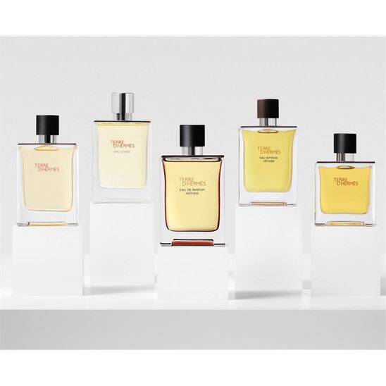 Hermes Terre D Hermes EDP Intense 100 ml Erkek Parfüm - 7