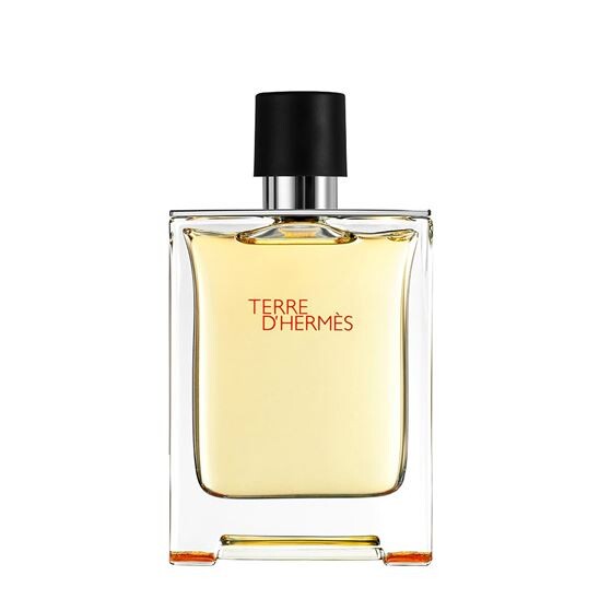 Hermes Terre D Hermes EDT 100 ml Erkek Parfüm - 1