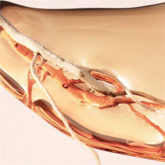 Hugo Boss Alive Intense EDP 50 ml Kadın Parfüm - 4