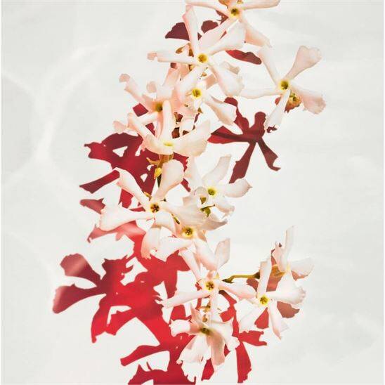 Hugo Boss Alive Parfum 50 ml Kadın Parfüm - 4