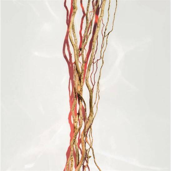 Hugo Boss Alive Parfum 50 ml Kadın Parfüm - 5