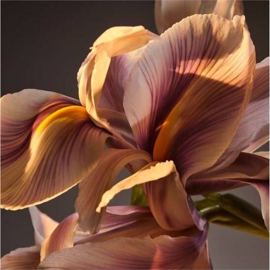 Hugo Boss Bottled Parfum 50 ml Erkek Parfüm - 3